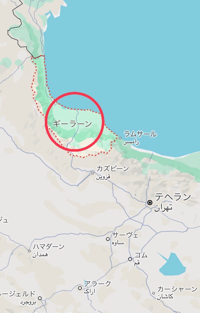「ずぼらさんでも作れるペルシャ(イラン)風料理-ミールザーガーセミー」2-1