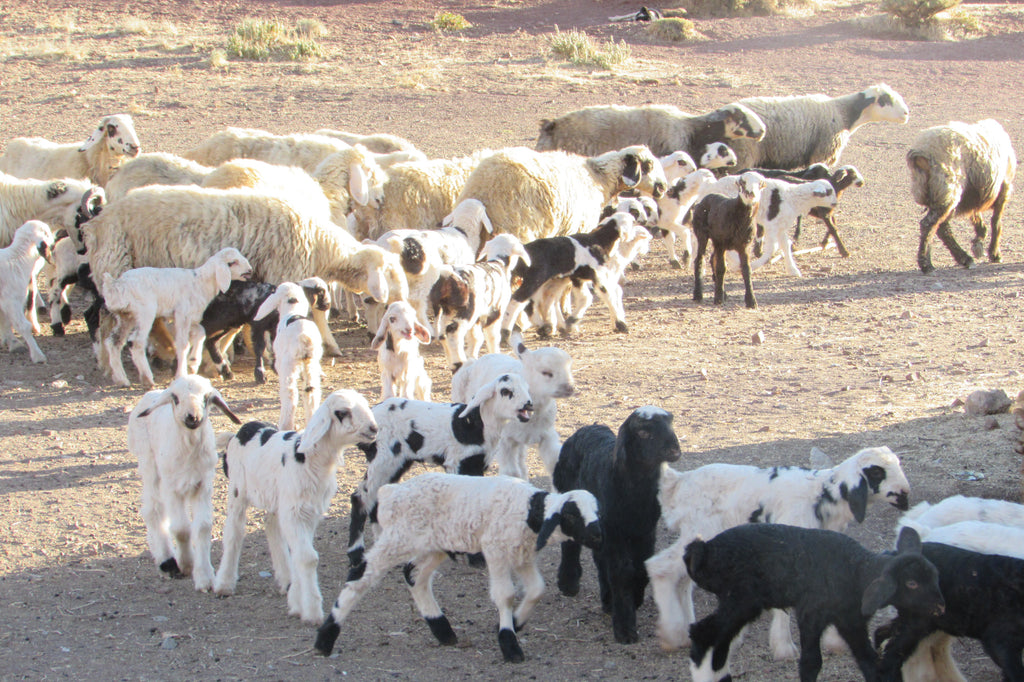 年末年始の営業について