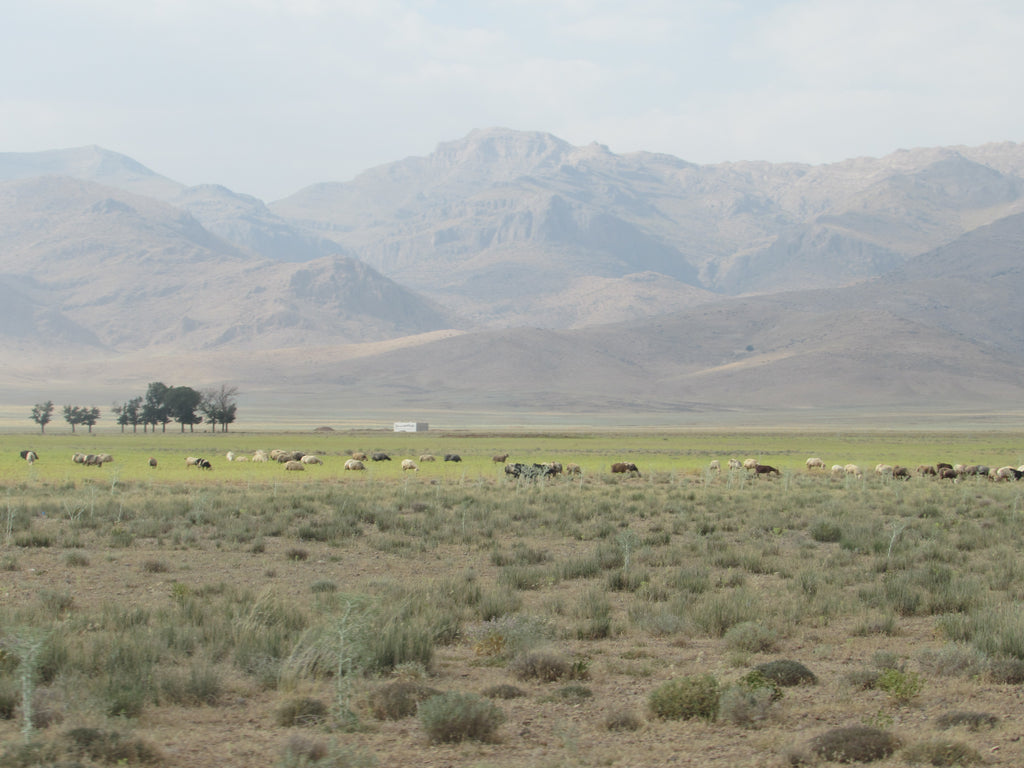 遊牧民が見る風景