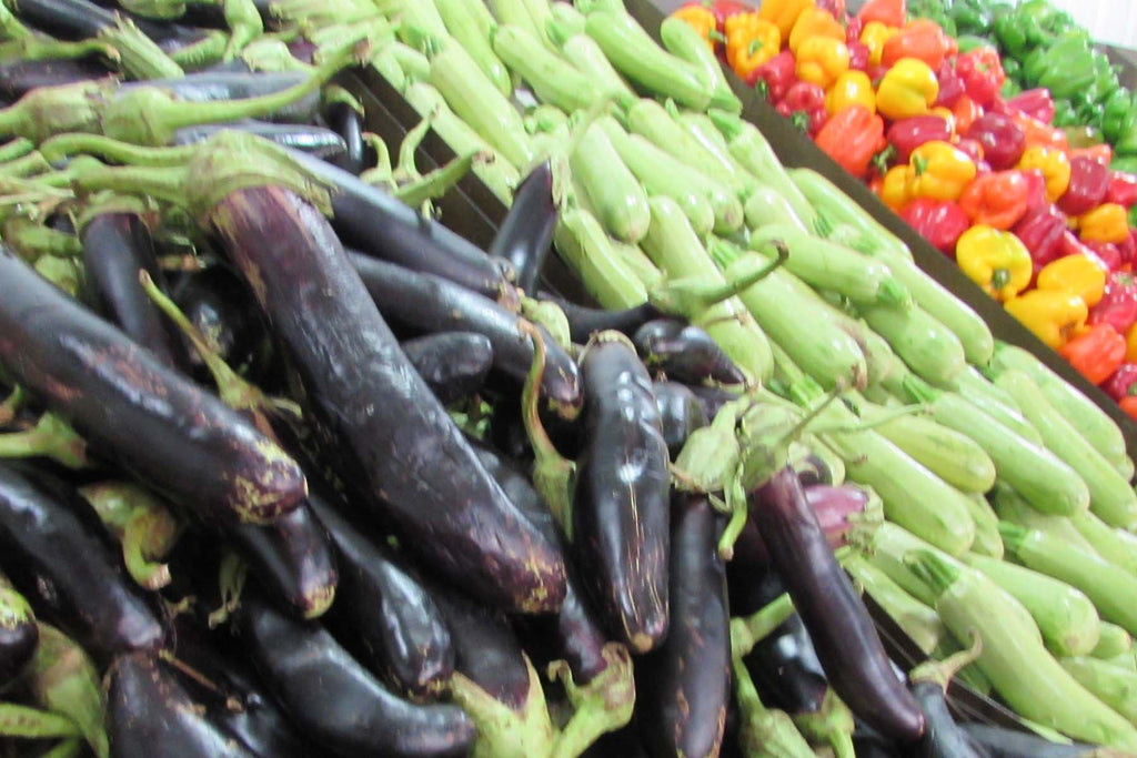 ギャッベ(ギャべ)の故郷 22