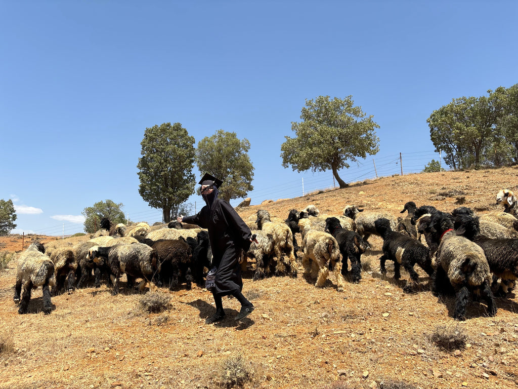 絨毯ギャラリー社の大熊直子社長と行くギャッベの本場イラン研修:遊牧民さんの村編